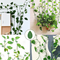 LEAFFIX - CLIP AUTOADESIVE PER PIANTE (10 PEZZI)