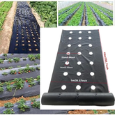 VEGMESH™ - FOGLIO PER PIANTARE (1x10m)