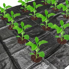 VEGMESH™ - FOGLIO PER PIANTARE (1x10m)